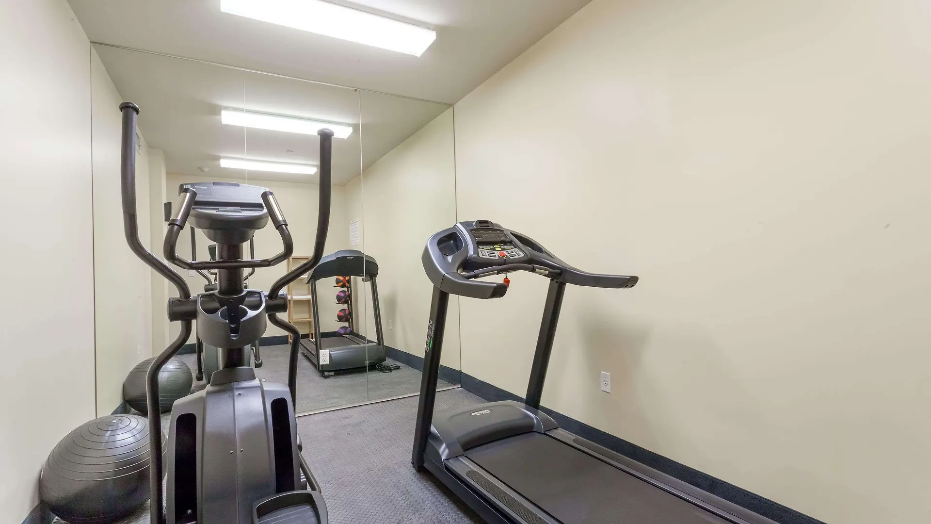 Days Inn By Wyndham Brooklyn Crown Heights New York Stati Uniti